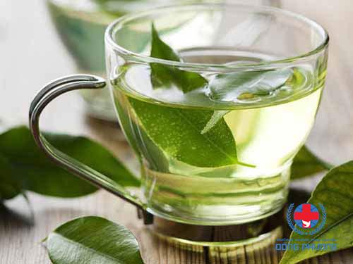 Thuốc chữa bệnh phụ khoa từ thiên nhiên bởi trà xanh