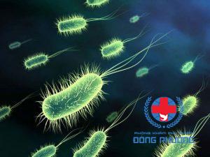 Nguyên nhân khí hư ra nhiều do nhiễm nấm, vi khuẩn