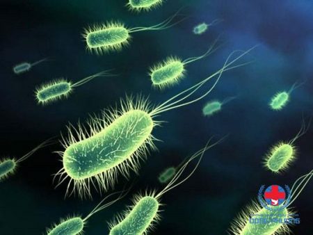 Nguyên nhân khí hư ra nhiều do nhiễm nấm, vi khuẩn 