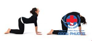 Cách trị bệnh đau bụng kinh bằng bài tập yoga mèo bò